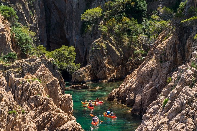 Costa Brava Kayaking and Snorkeling Small Group Tour with Lunch - Snorkeling, swimming, and optional cliff jumps