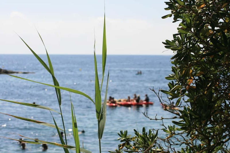 Costa Brava: Sant Feliu de Guíxols Kayak & Snorkel Tour - Timing, meeting details, and cancellation