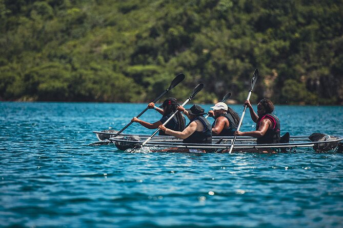 Crystal Kayak & Snorkel Eco Tour (with transfer) - Why the clear kayak is the main attraction