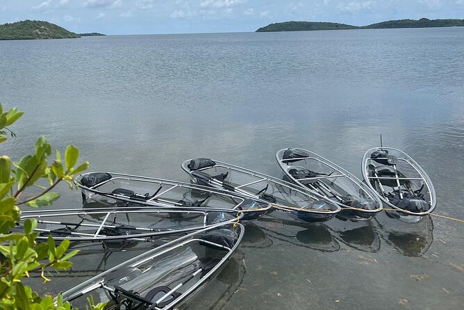 Crystal Kayak & Snorkel Eco Tour (with transfer) - Starting in Antigua’s sheltered mangrove bay