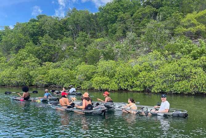 Crystal Kayak & Snorkel Eco Tour (with transfer) - The snorkeling stop adds a second kind of sea life