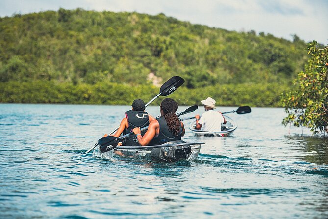 Crystal Kayak & Snorkel Eco Tour (with transfer) - Staff care and the small touches