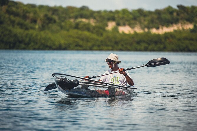 Crystal Kayak & Snorkel Eco Tour (with transfer) - Practical details before you reserve