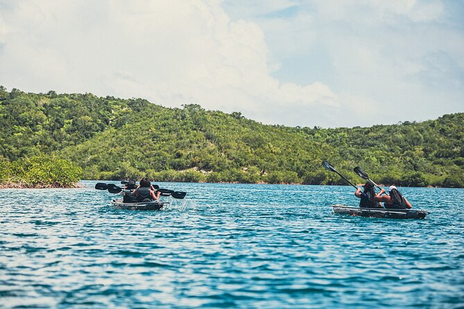 Crystal Kayak & Snorkel Eco Tour (with transfer) - Who should book this Antigua kayak tour?