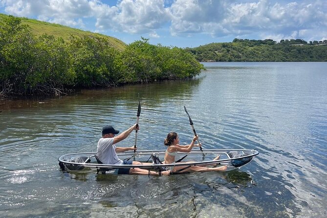 Crystal Kayak & Snorkel Eco Tour (with transfer) - What you may see beneath the kayak