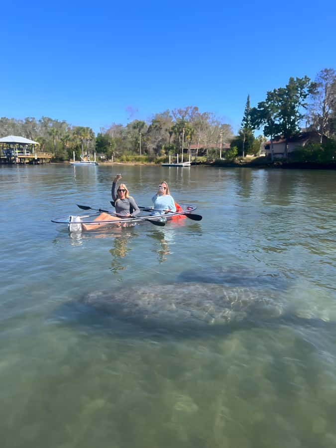 Crystal River: Clear Kayak Manatee Tour w/Free Photo Package - Meeting at Pete’s Pier Marina