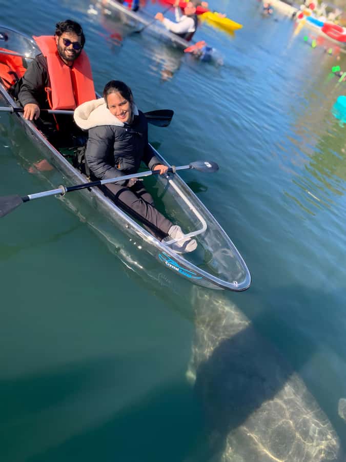 Crystal River: Clear Kayak Manatee Tour w/Free Photo Package - Value at $63 per person