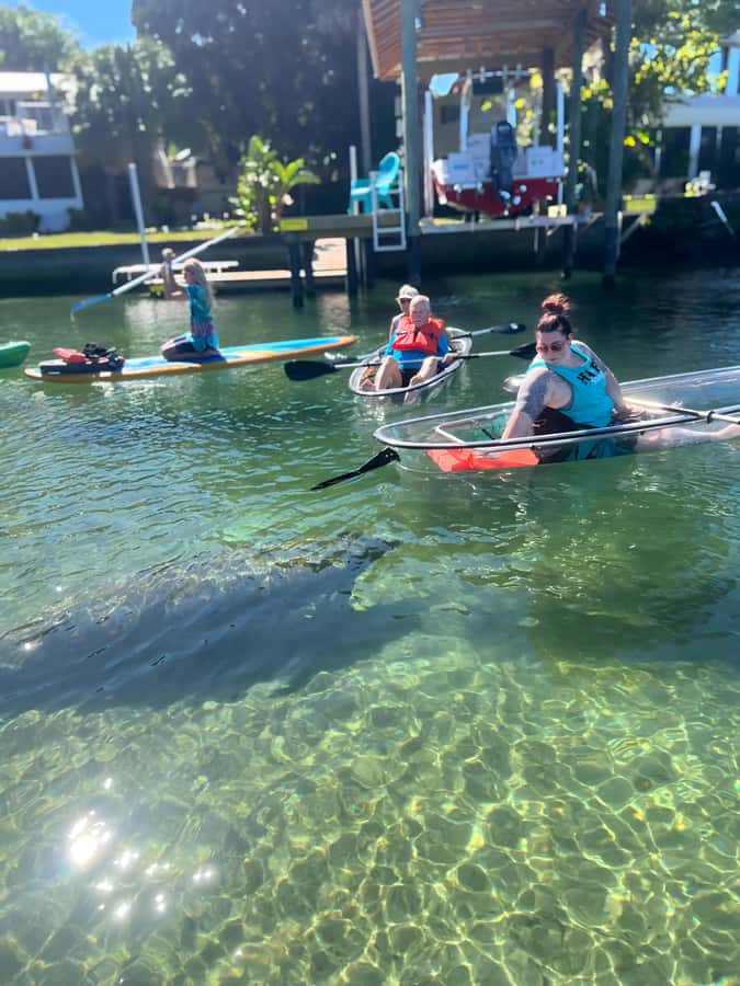 Crystal River: Clear Kayak Manatee Tour w/Free Photo Package - Who should book this Crystal River tour?