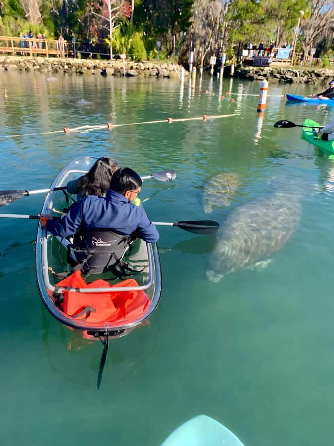 Crystal River: Clear Kayak Manatee Tour w/Free Photo Package - Practical details before you reserve