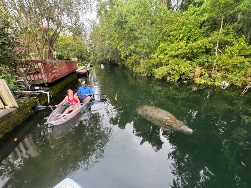 Crystal River Clear Kayak Sunset & Night Glow Tour - Should you book the Crystal River glow tour?