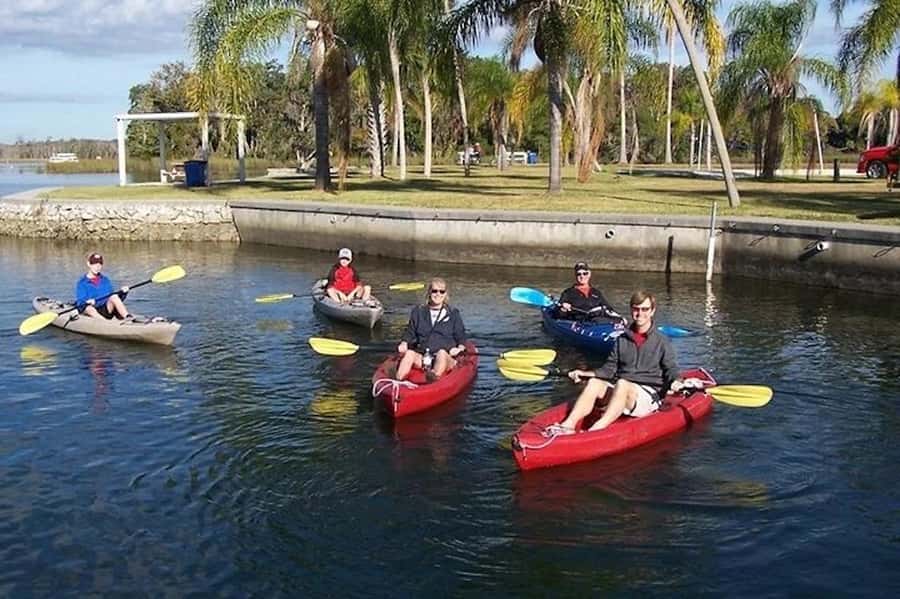 Crystal River: Guided Kayak Tour with Manatee Encounters - Paddling through Kings Bay National Wildlife Refuge
