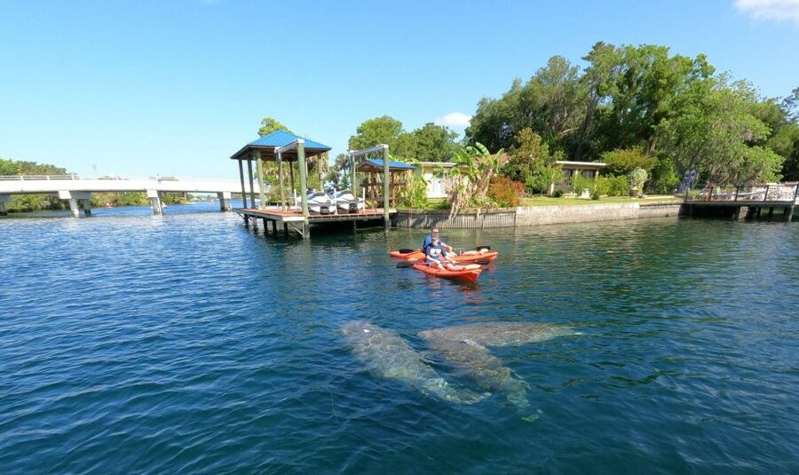 Crystal River: Kayak Rental - Key points to know before you book