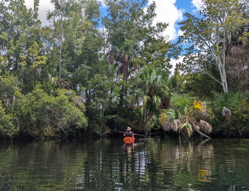 Crystal River: Kayak Rental - Starting at Pete’s Pier Marina in Crystal River