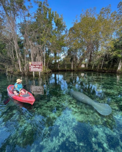 Crystal River: Kayak Rental - Reaching Three Sisters Springs