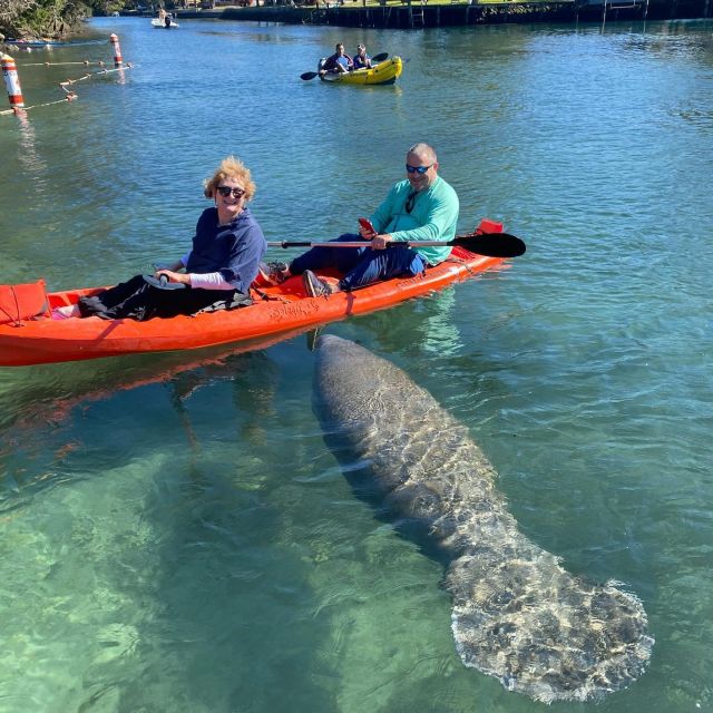 Crystal River: Kayak Rental - Choosing between two and eight hours