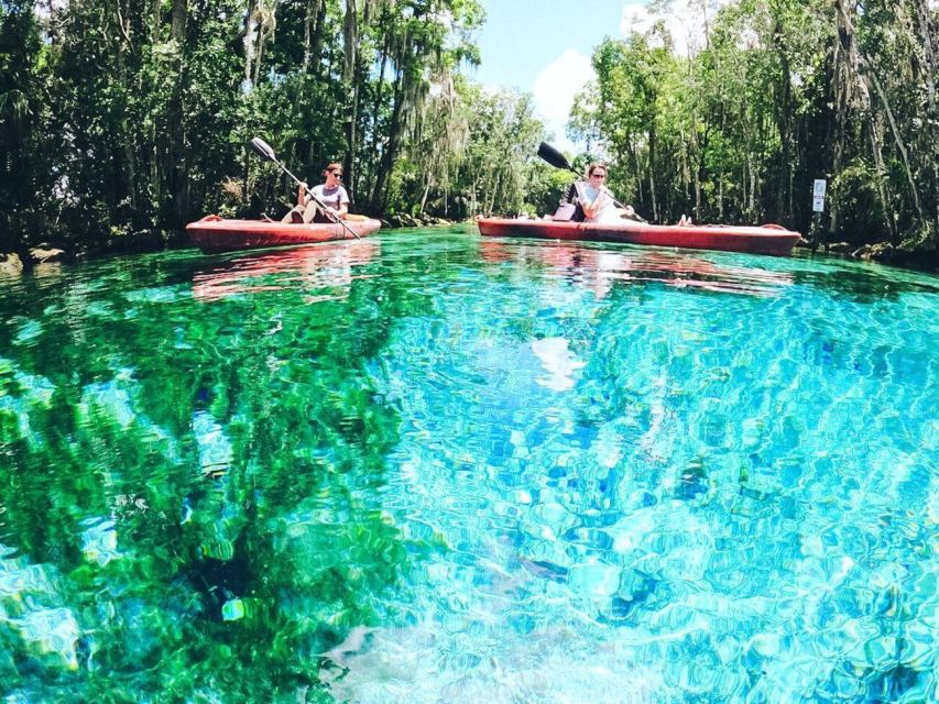 Crystal River: Kayak Rental - What the $40 price really includes
