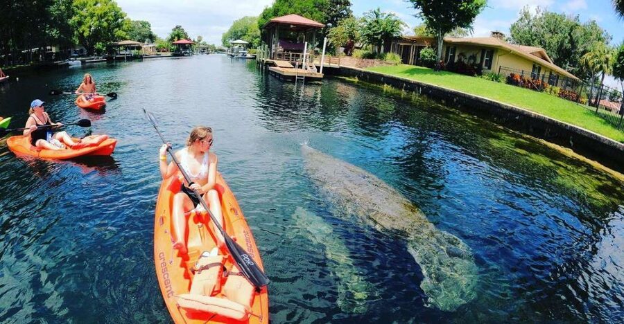 Crystal River: Kayak Rental - The short safety video and kayak briefing