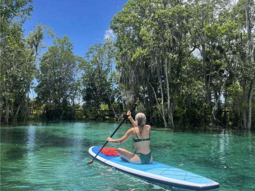 Crystal River: Paddle Board Rental - Should you book this paddleboard rental?