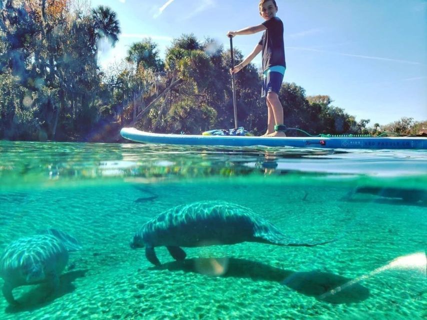 Crystal River: Paddle Board Rental - Paddling from King’s Bay toward the springs