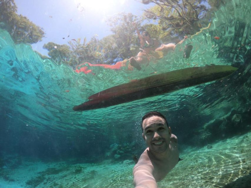 Crystal River: Paddle Board Rental - Three Sisters Springs and the payoff of the route