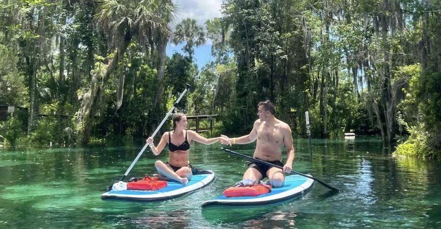 Crystal River: Paddle Board Rental - Wildlife along Crystal River