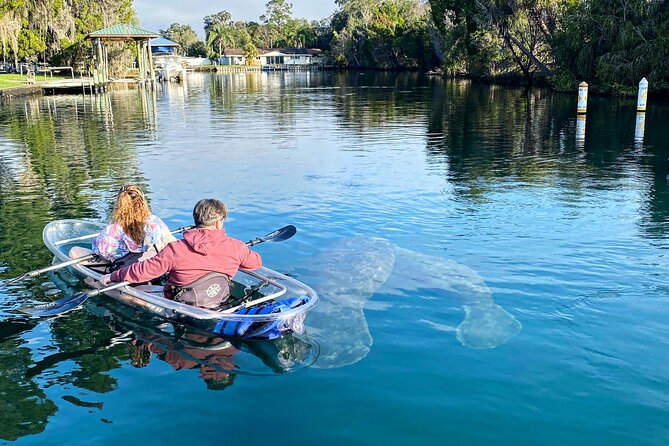 Crystal River Three Sisters Springs and Manatee Clear Kayak Tours - Two ways to see Crystal River from the water