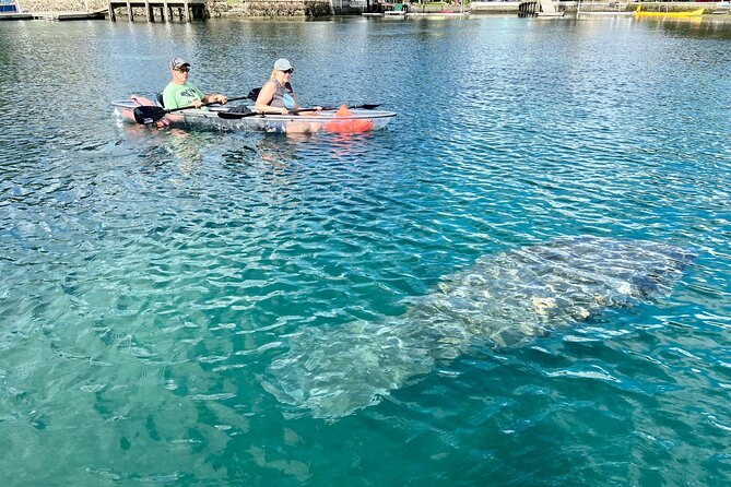 Crystal River Three Sisters Springs and Manatee Clear Kayak Tours - What the clear kayak adds