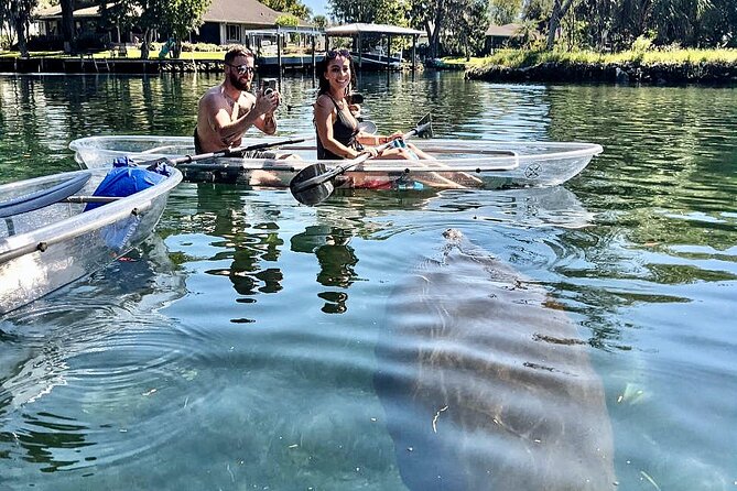 Crystal River Three Sisters Springs and Manatee Clear Kayak Tours - The guide makes the difference