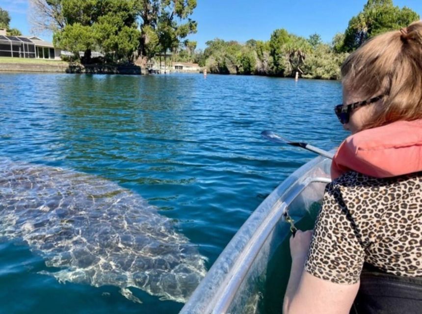 Crystal River: Three Sisters Springs Eco Tour by Clear Kayak - Key points to know before you paddle