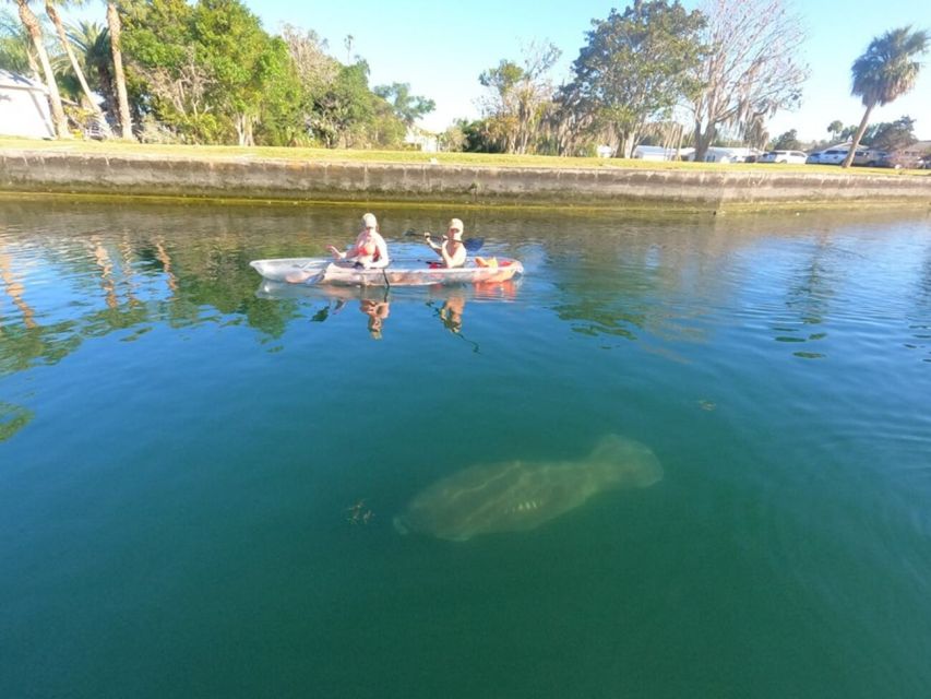 Crystal River: Three Sisters Springs Eco Tour by Clear Kayak - Visiting Three Sisters Springs from April through November