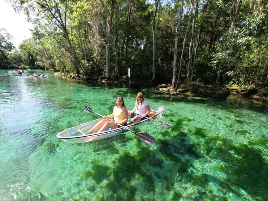 Crystal River: Three Sisters Springs Eco Tour by Clear Kayak - Who should book this tour?