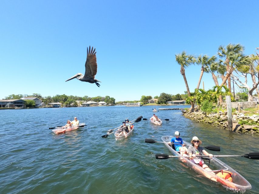 Crystal River: Three Sisters Springs Eco Tour by Clear Kayak - Starting at Pete’s Pier Marina