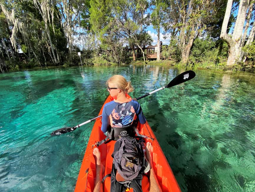Crystal River:Three Sisters Springs Guided Kayak & Swim Tour - Swimming in the spring water