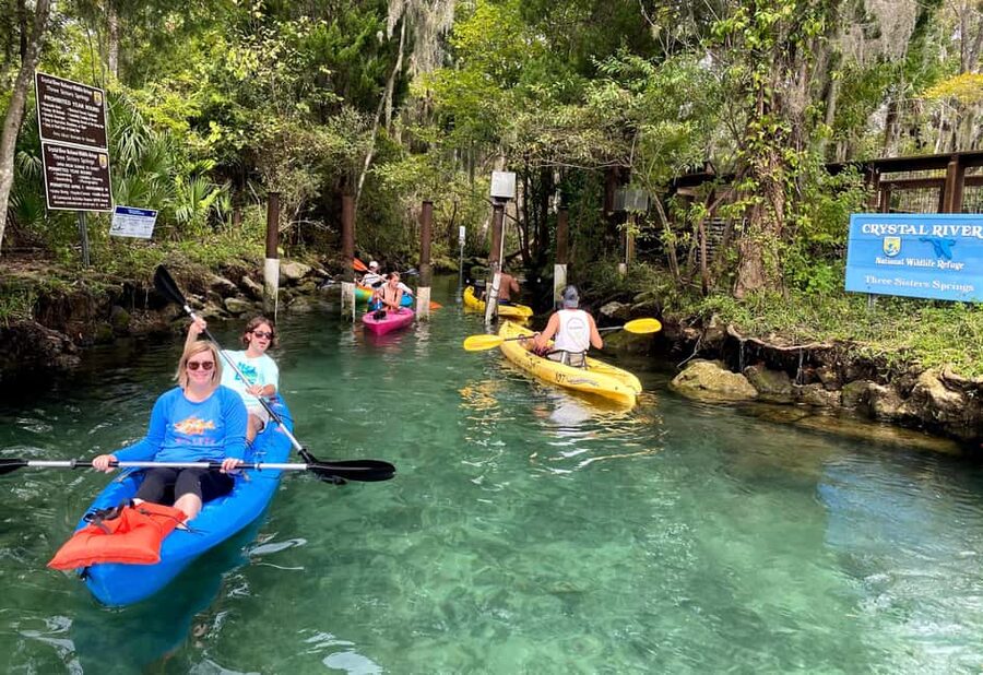 Crystal River:Three Sisters Springs Guided Kayak & Swim Tour - What the $84 price really covers
