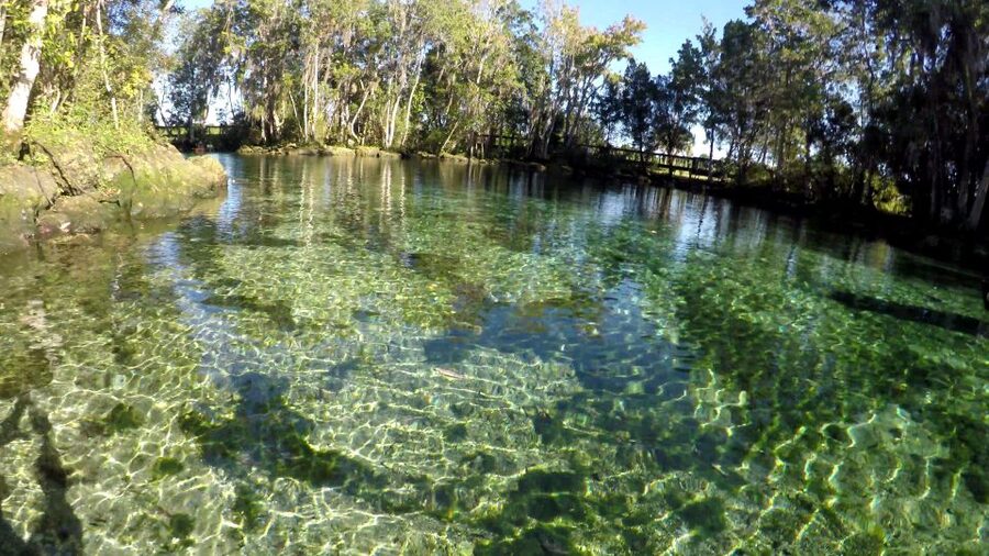 Crystal River:Three Sisters Springs Guided Kayak & Swim Tour - Who will enjoy this tour most