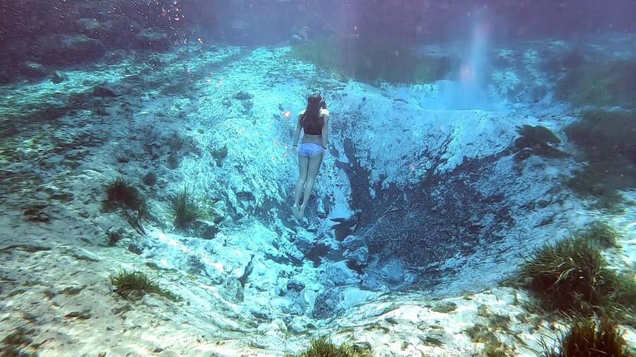 Crystal River:Three Sisters Springs Guided Kayak & Swim Tour - The small-group advantage