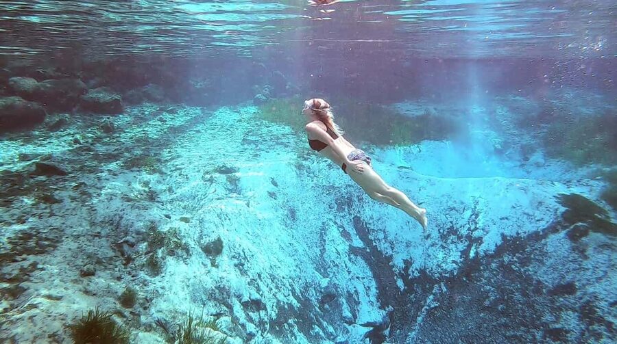 Crystal River:Three Sisters Springs Guided Kayak & Swim Tour - The one-mile paddle to Three Sisters