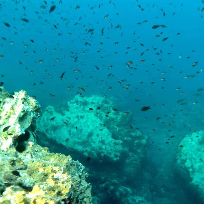 Curso de PaddleSurf, Visita Cuevas y Calas secretas, Snorkel - What the $57 price covers