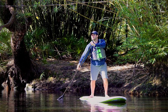Cypress Forest: Guided Nature Kayak Eco-Tour - Starting at Shingle Creek near Kissimmee