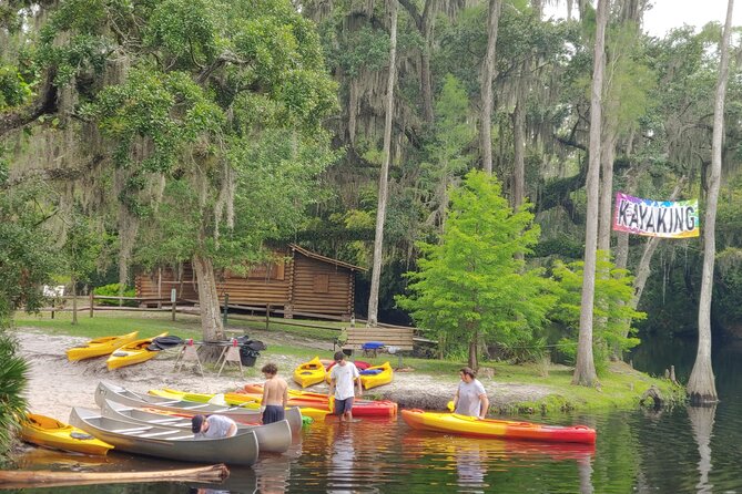 Cypress Forest: Guided Nature Kayak Eco-Tour - What the guides add to the paddle
