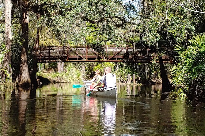 Cypress Forest: Guided Nature Kayak Eco-Tour - A calm safety lesson before you paddle
