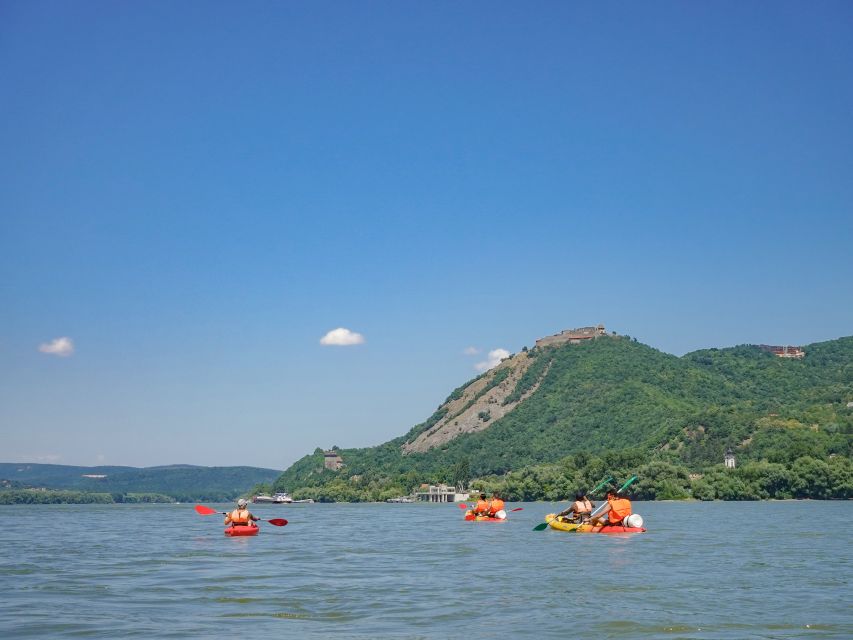 Danube Bend Hiking and Kayaking Adventure - Why the forest walk matters