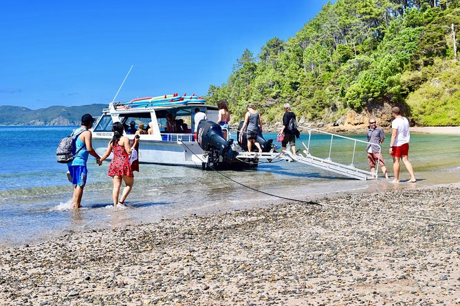 Day Cruise & Island Tour - Snorkel/Wildlife/Paddleboard/Islands - Key points to know before you book