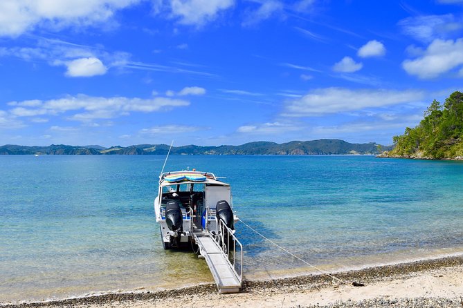 Day Cruise & Island Tour - Snorkel/Wildlife/Paddleboard/Islands - What this 3.5-hour Bay of Islands tour is really like