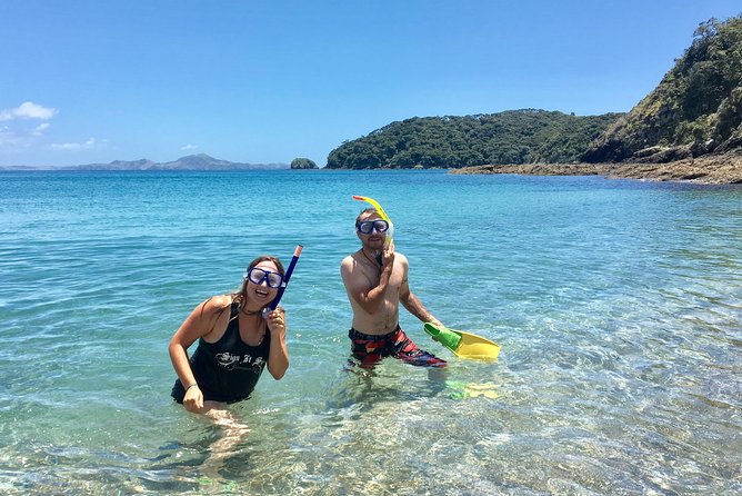 Day Cruise & Island Tour - Snorkel/Wildlife/Paddleboard/Islands - Snorkeling and paddleboarding are optional, not compulsory
