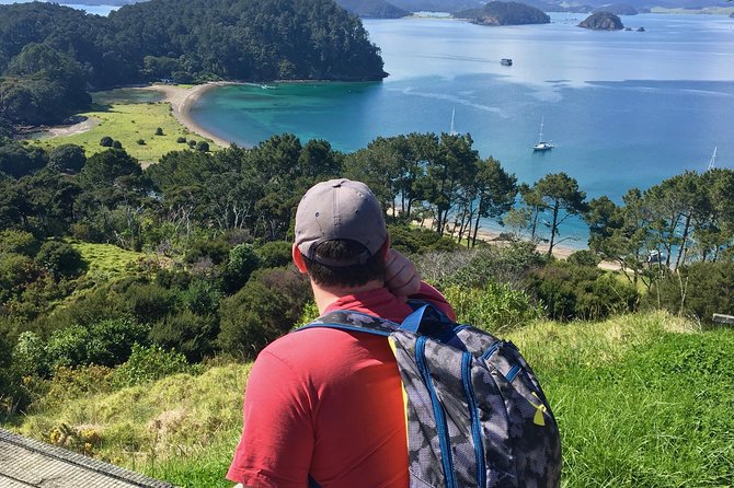 Day Cruise & Island Tour - Snorkel/Wildlife/Paddleboard/Islands - Why the small group matters
