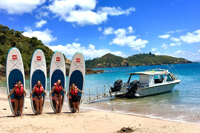 Day Cruise & Island Tour - Snorkel/Wildlife/Paddleboard/Islands - Is $89.98 good value?