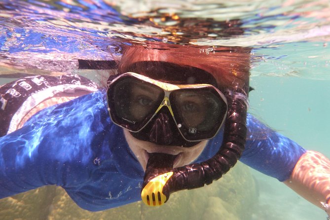 Day Cruise & Island Tour - Snorkel/Wildlife/Paddleboard/Islands - The cruise between islands adds more than scenery