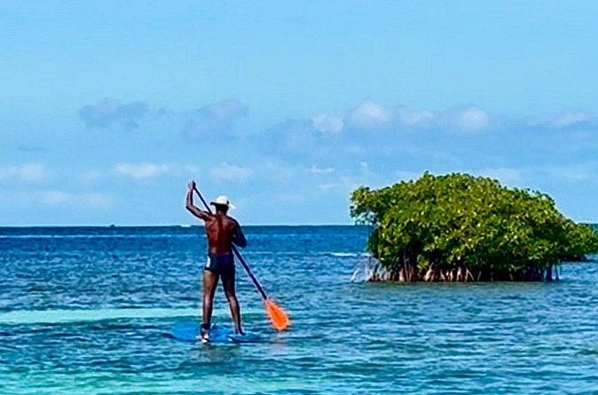 Day Lagoon 100% Sailing stops Snorkelling Paddle - Sailing toward La Biche