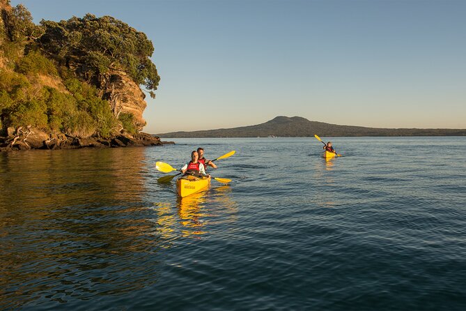 Day sea kayak tour Rangitoto Island - Key points before you book